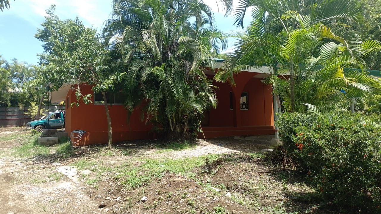 Se observa la fachada de una construcción de color terracota rodeada de vegetación y palmeras.