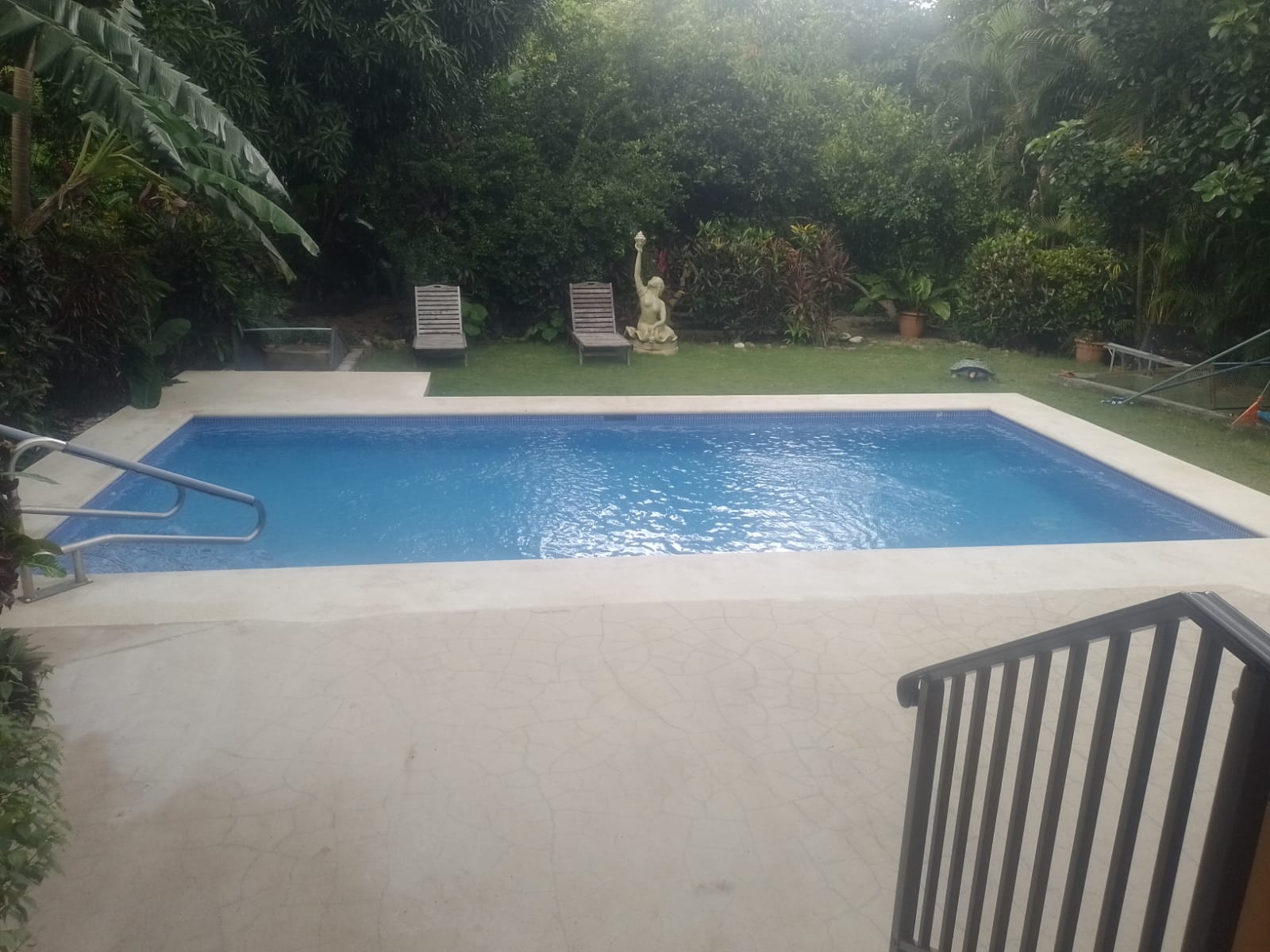 Una piscina rectangular rodeada de un jardín con vegetación, sillas de descanso y una estatua decorativa.